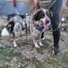 Hingucker Jonte sucht seine Familie