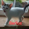 BERLIOZ chez Anne