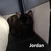 JORDAN