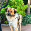 Milky - Zuhause gesucht