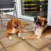 Milky - Zuhause gesucht