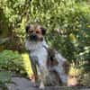 Milky - Zuhause gesucht