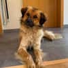 Milky - Zuhause gesucht