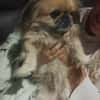 CAPUCINE