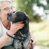 Renée  sensibler Deutsch Kurzhaar sucht ein  Zuhause