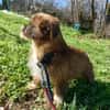 Matilda: kleiner Sonnenschein sucht DICH