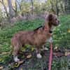 Matilda: kleiner Sonnenschein sucht DICH