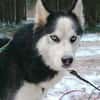 FELIX 2 ist freundlich und liebevoll