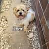 IRMI
