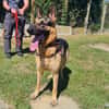 ULYSSE