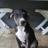 DARWIN le super beau gosse