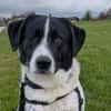 Mosel sucht Familie