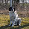 Mosel sucht Familie