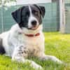 Mosel sucht Familie