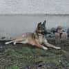Ejmy - Buddel-Meisterin sucht Garten ;)