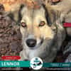 Lennox - 2022 in 89081 Ulm