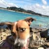 ALOKA votre compagnon pour la vie