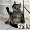 Bulle