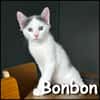 Bonbon