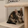 BIANCA