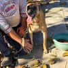 🆘RUBY in 91616 Neusitz sucht♥  🆘🆘🆘