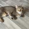 Dina u. Daisy suchen ein liebevolles Zuhause