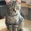 Dina u. Daisy suchen ein liebevolles Zuhause