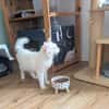 Kate Snowy sucht Sofaplatz
