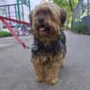 Super liebe kleine Lady