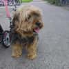 Super liebe kleine Lady