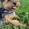 Super liebe kleine Lady