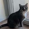 Sid sucht eine liebevolles Zuhause