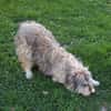 VICKY sucht ihr Zuhause