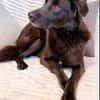 Oliver - stiller Schatten sucht Dich