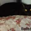 Balista