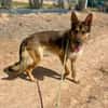 BALTO (Maria)