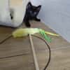 REGLISSE