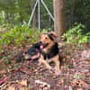 Buzz sucht ein geduldiges Zuhause