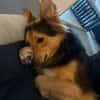 Buzz sucht ein geduldiges Zuhause