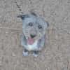 Boby