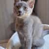 MUNE
