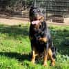 Ares