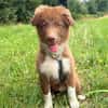 Selbstbewusster Romeo mit Potential wartet in 57627 Marzhaus
