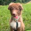 Selbstbewusster Romeo mit Potential wartet in 57627 Marzhaus
