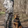 Jerry: Sanft, dezent, lernwillig Hund!