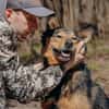 Jerry: Sanft, dezent, lernwillig Hund!