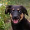 RONJA  Kleine Abenteurerin sucht ihre Herzensmenschen