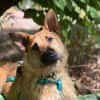 Lusy-Kleine Entdeckerin, 8 Monate alt,
