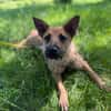 Lusy-Kleine Entdeckerin, 8 Monate alt,