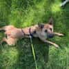 Lusy-Kleine Entdeckerin, 8 Monate alt,
